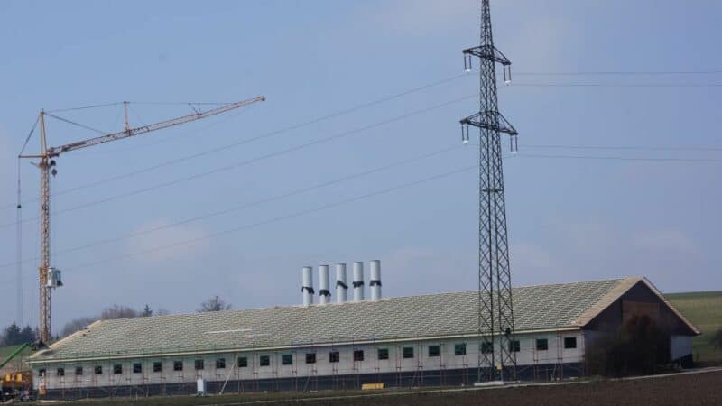 leistungen_landwirtschaftlicher_nutzbau_stall_ganglbauer